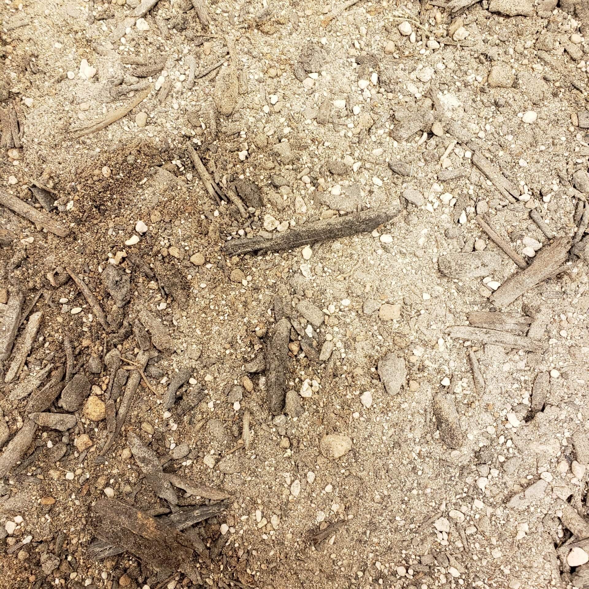 Clay Buster (1)