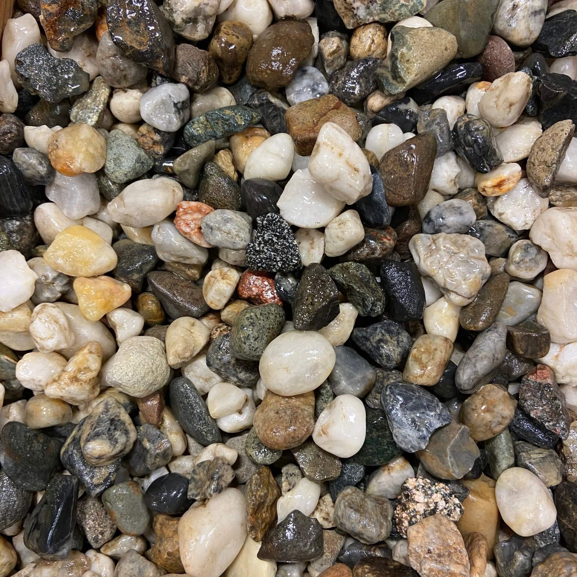 Small Salt and Pepper