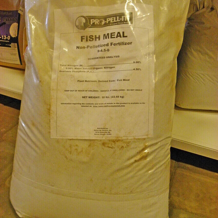 fish-meal-med