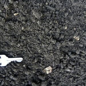 forest-loam-sm