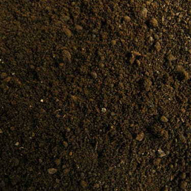 worm-castings1-sm