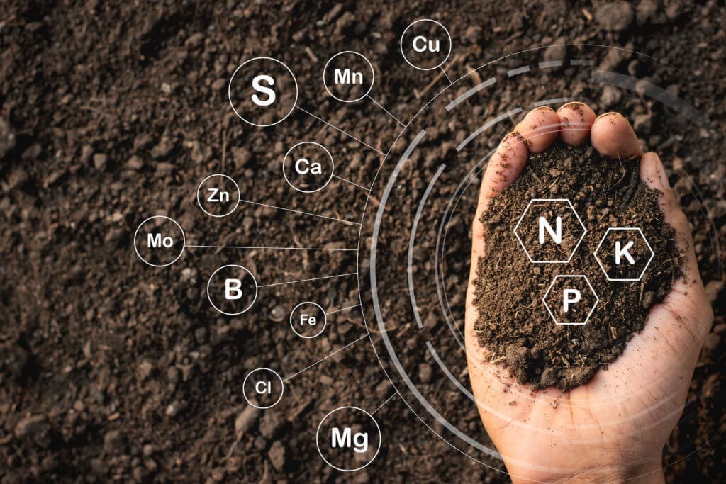 Creating the Right Foundation for Your Lawn