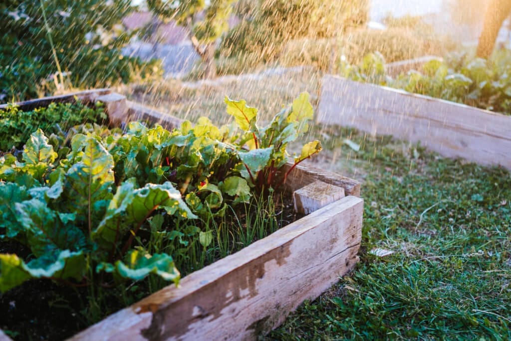 Prepare For A Fall Garden