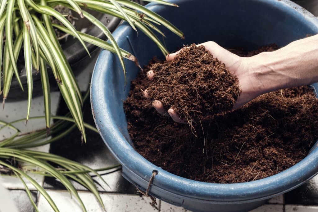 Coco Coir