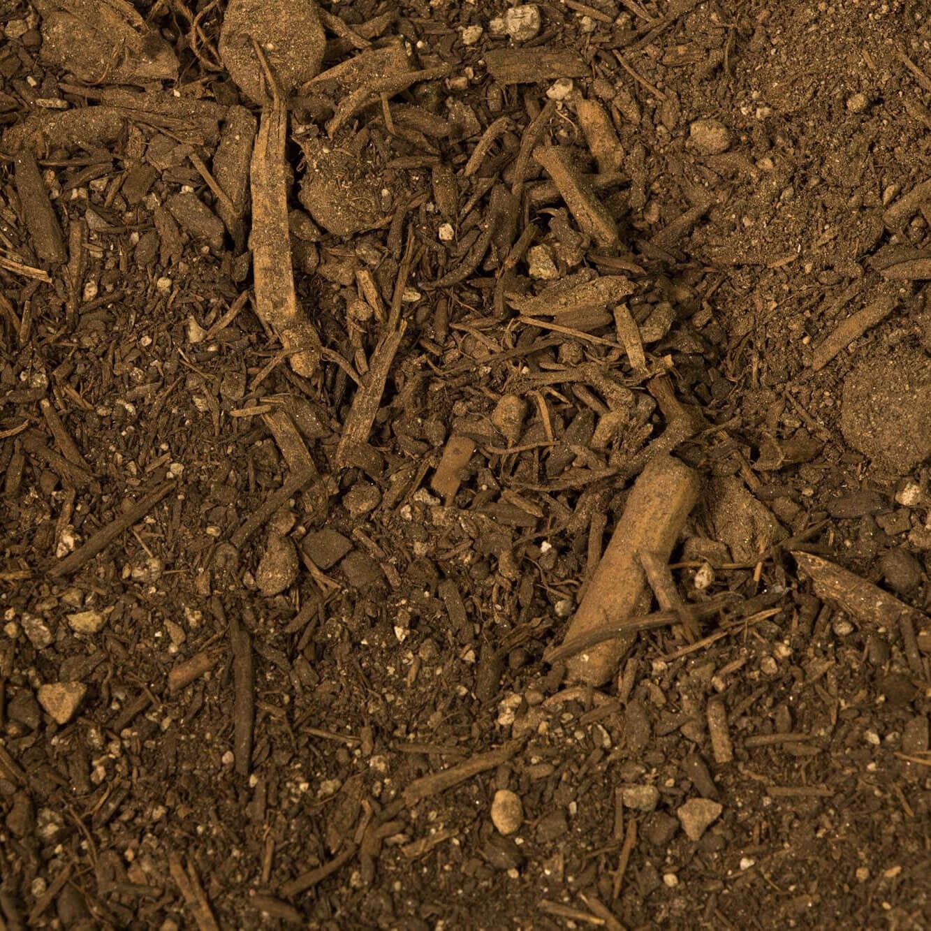 Living_Soil