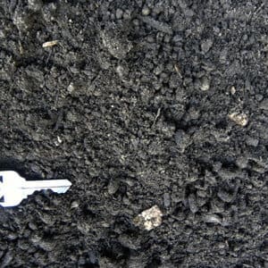 forest-loam-sm