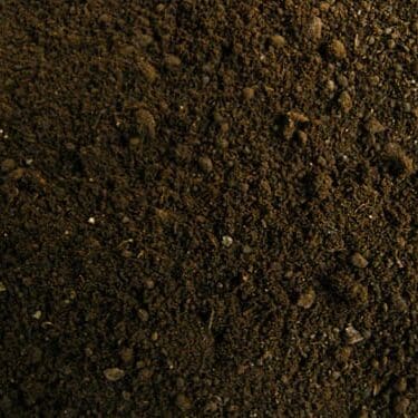 worm-castings1-sm
